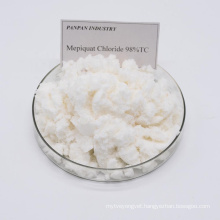 Prevent excessive vegetative growth with mepiquat chloride 98Tc